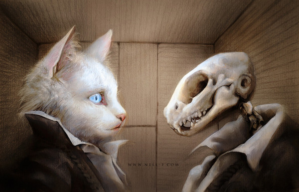 Кот Шредингера