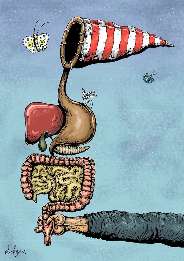 Лукьянченко, сачок