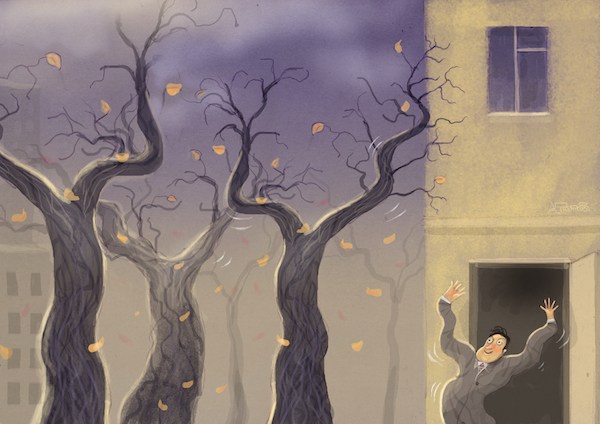 Попов, деревья