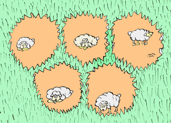 олимпийские бараны