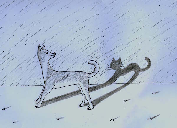 Кошка с собакой