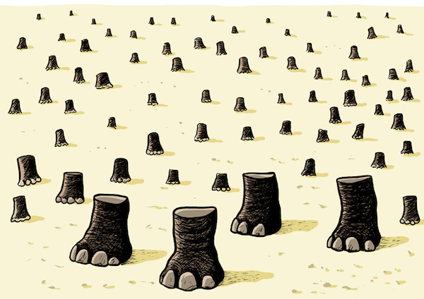 Рис. Дмитро Скаженика