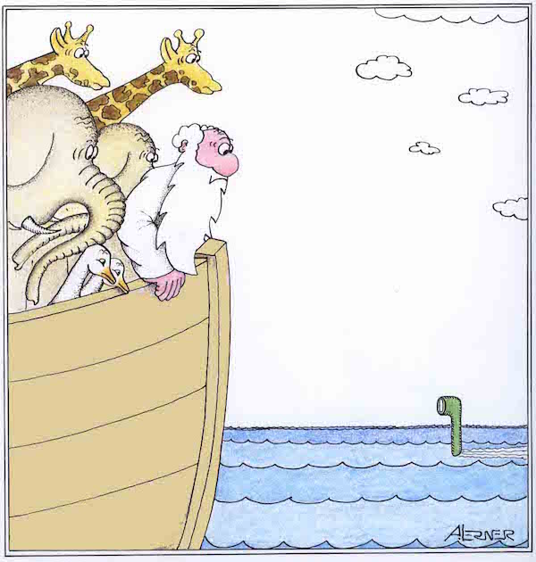 Ноев ковчег