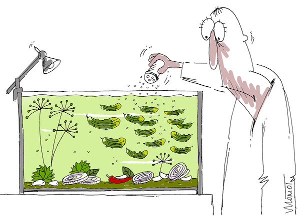 Карикатура Валерия Момота