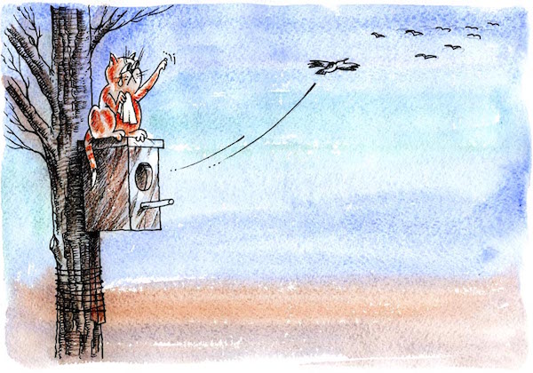 Карикатура Валерия Момота