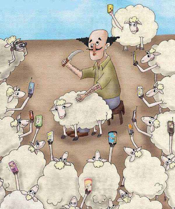 Стадо, селфи