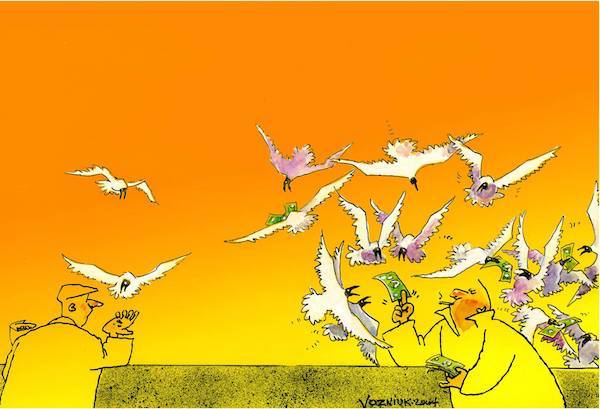 Вознюк, чайки