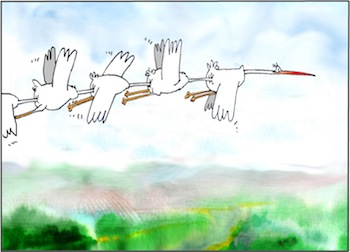 Коалиция аистов