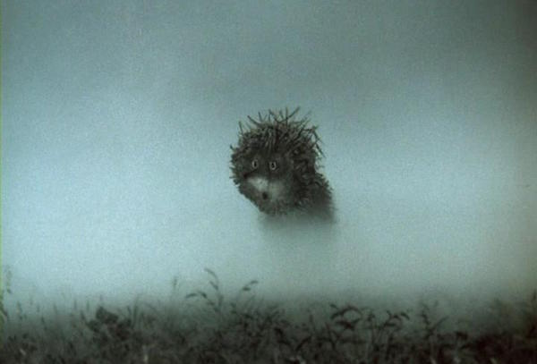 Ежик в тумане