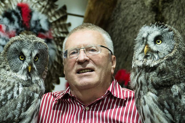 Жириновский