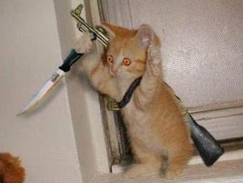 Котик с кинжалом