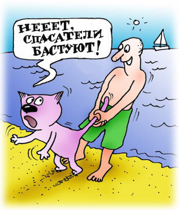 Карикатура на кота