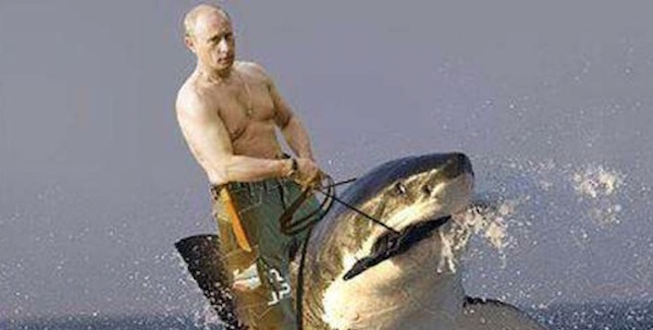 Путин на акуле