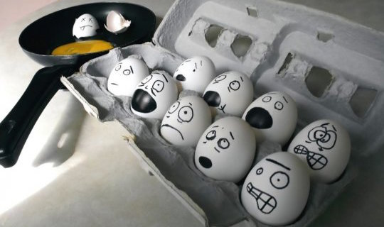 Сальмонелла